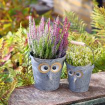 Artikel Decoratieve emmer uil plantenbak zink met handvat Ø15/19cm set van 2