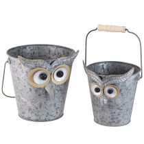 Artikel Decoratieve emmer uil plantenbak zink met handvat Ø15/19cm set van 2