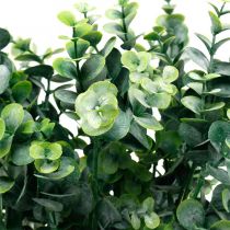 Decoratieve Eucalyptus Tak Donkergroen Kunstmatige Eucalyptus Kunstmatige Groene Planten 6st