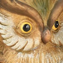 Artikel Decoratieve uil decoratiefiguur handbeschilderd herfstdecoratie polyresin H14cm
