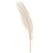 Artikel Decoratieve veren echte vogelveren champagne 20g