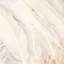 Artikel Decoratieve veren echte vogelveren champagne 20g