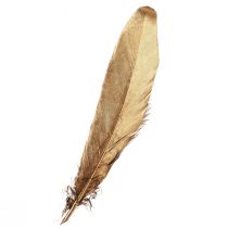 Artikel Decoratieve veren goud Kerstdecoratie veren 15-20cm 12 st