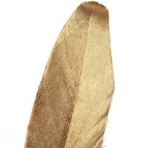 Artikel Decoratieve veren goud Kerstdecoratie veren 15-20cm 12 st