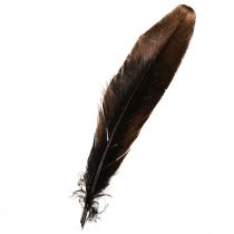 Artikel Decoratieve veren goud Kerstdecoratie veren 15-20cm 12 st