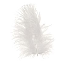 Artikel Decoratieve veren in witte hobbybenodigdheden lente 5-10cm 20g