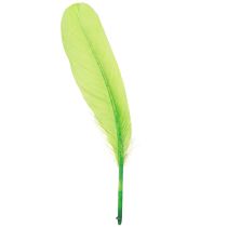 Artikel Decoratieve veren voor handwerk ganzenveren lichtgroen 20 g x 2 stuks