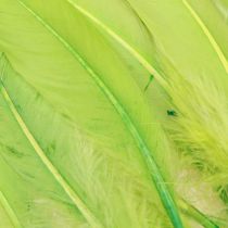 Artikel Decoratieve veren voor handwerk ganzenveren lichtgroen 20 g x 2 stuks
