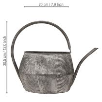 Artikel Decoratieve metalen gieter/theepot, zwart, vintage stijl