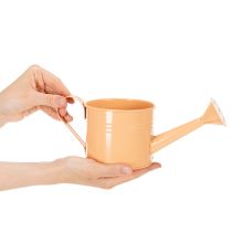 Artikel Decoratieve gieterset in pastel zalmroze, groen en geelgroen - metalen plantenbak Ø11cm H10cm, 8 stuks