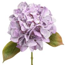 Artikel Decoratie Hortensia&#39;s Kunstbloemen Paarse Bloesem Ø18cm 69cm 2st