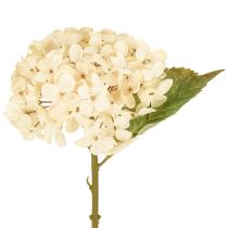 Artikel Decoratieve hortensia&#39;s kunstcrème zijden bloemen 34cm 2 stuks