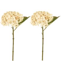 Artikel Decoratieve hortensia's kunstcrème zijden bloemen 34cm 2 stuks