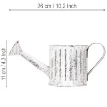 Artikel Decoratieve gieter, plantenbak, gieter voor het beplanten van planten Ø10,5 cm