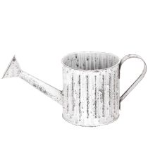 Artikel Decoratieve gieter, plantenbak, gieter voor het beplanten van planten Ø10,5 cm