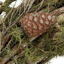 Artikel Decoratieve kranstakken en cederkegels naturel houten krans Ø40cm