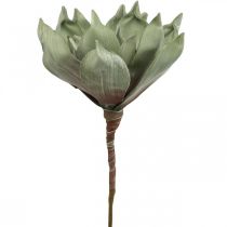 Deco lotusbloem, lotusbloesem, zijdebloem groen L64cm
