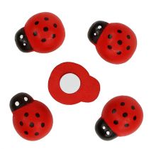 Decoratieve lieveheersbeestjes om te lijmen 2,5cm rood 72 st