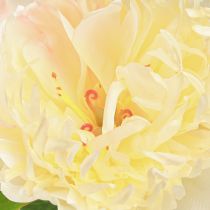 Artikel Decoratie Pioenrozen Kunstbloemen Gele Bloesem L64cm 2st