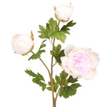 Artikel Decoratie Pioenrozen Roze 3 Bloemen Lange Steel L80cm 2st