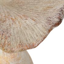 Artikel Decoratieve paddenstoel gegoten steen herfstdecoratie grijs gewassen 19×15cm H23cm