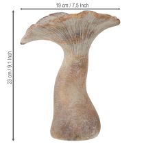 Artikel Decoratieve paddenstoel gegoten steen herfstdecoratie grijs gewassen 19×15cm H23cm
