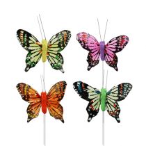 Decoratieve vlinders assorti 6cm 24st
