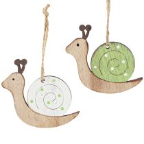 Artikel Decoratieve slakkenhoutdecoratie om op te hangen naturel groen 6,5cm 12 stuks