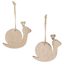 Artikel Decoratieve slakkenhoutdecoratie om op te hangen naturel groen 6,5cm 12 stuks