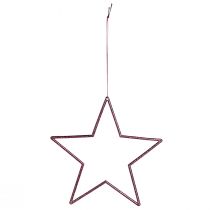Artikel Decoratieve sterbessen kerstdecoratie hangende glitter Ø18cm 8-delige set