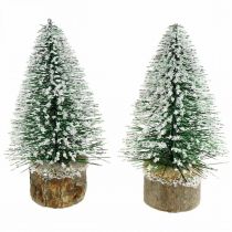 Artikel Kerstdecoratie, deco dennenboom, mini den groen besneeuwd H15cm Ø9,5cm 6st