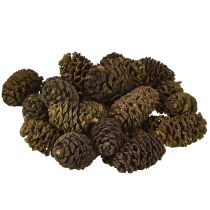 Artikel Decoratieve kegels elzen kegels natuur ter decoratie 3-4cm 200g