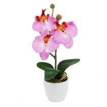 Decoratieve orchidee in een roze pot H29cm