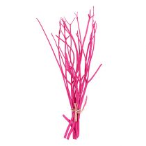 Decoratie takken Mitsumata 45-60cm roze 12st