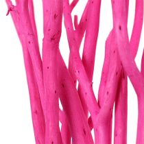 Decoratie takken Mitsumata 45-60cm roze 12st