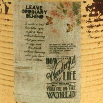 Artikel Sierdoos abrikoos plantenpot metaal zomerdecoratie Ø15.5cm H15cm