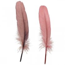Artikel Decoratieve veren voor handwerk Dusky roze echte vogelveren 20g