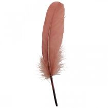 Artikel Decoratieve veren voor handwerk Dusky roze echte vogelveren 20g