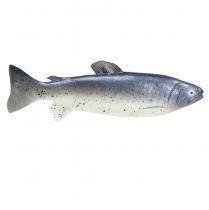 Artikel Decoratief visvoer dummy vis kunstmatig 31cm