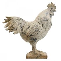 Decoratieve haan voor tuin decoratief figuur steenlook H26cm
