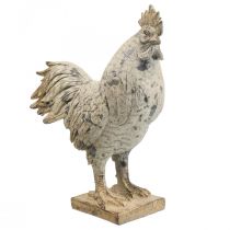 Decoratieve haan voor tuin decoratief figuur steenlook H26cm