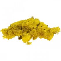 Deco mos geel rendiermos voor handwerk citroengeel 500g