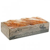 Artikel Decoratief Mos Oranje Echt Mos voor Ambachten Gedroogd, Geverfd 500g