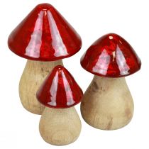 Artikel Decoratieve paddestoelen houten paddestoelen rood glans herfstdecoratie H6/8/10cm set van 3