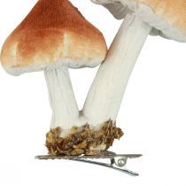 Artikel Decoratieve paddenstoelen met clip herfstdecoratie gevlokt assorti 9cm 3st