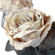 Artikel Decoratieve rozen crème witte kunstrozen zijden bloemen antieke look L65cm verpakking van 3