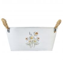 Artikel Decoratieve schaal ovaal metaal wit natuurlijke bloemen decor L26cm