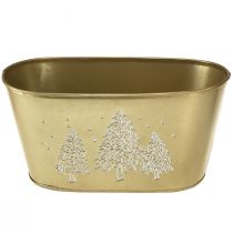 Artikel Decoratieve schaal ovale kerstboomplanter goud 24×13×12,5cm