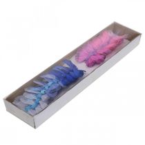 Artikel Decoratieve vlinders veer vlinder roze, blauw 6cm 24 st