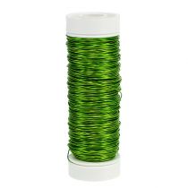 Deco emaille draad Ø0.30mm 30g 50m appelgroen